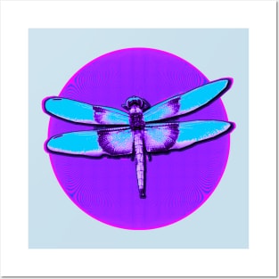 Dragonfly Circle Posters and Art